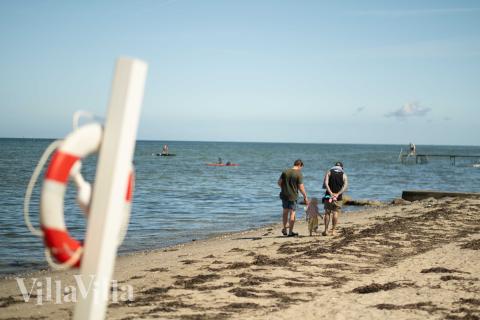 Den dejlige strand nær luksushus 696 ved Fyn og øer.