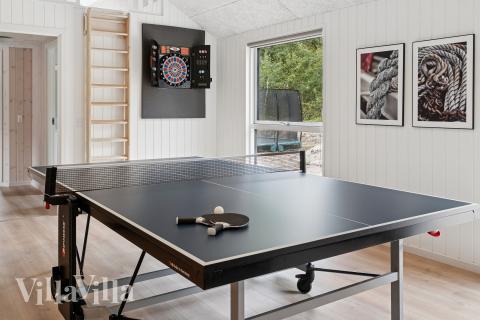 Dyst i sommerhusets aktivitetsrum, når I besøger luksushus nr. 697 i Lolland/Falster/Møn.