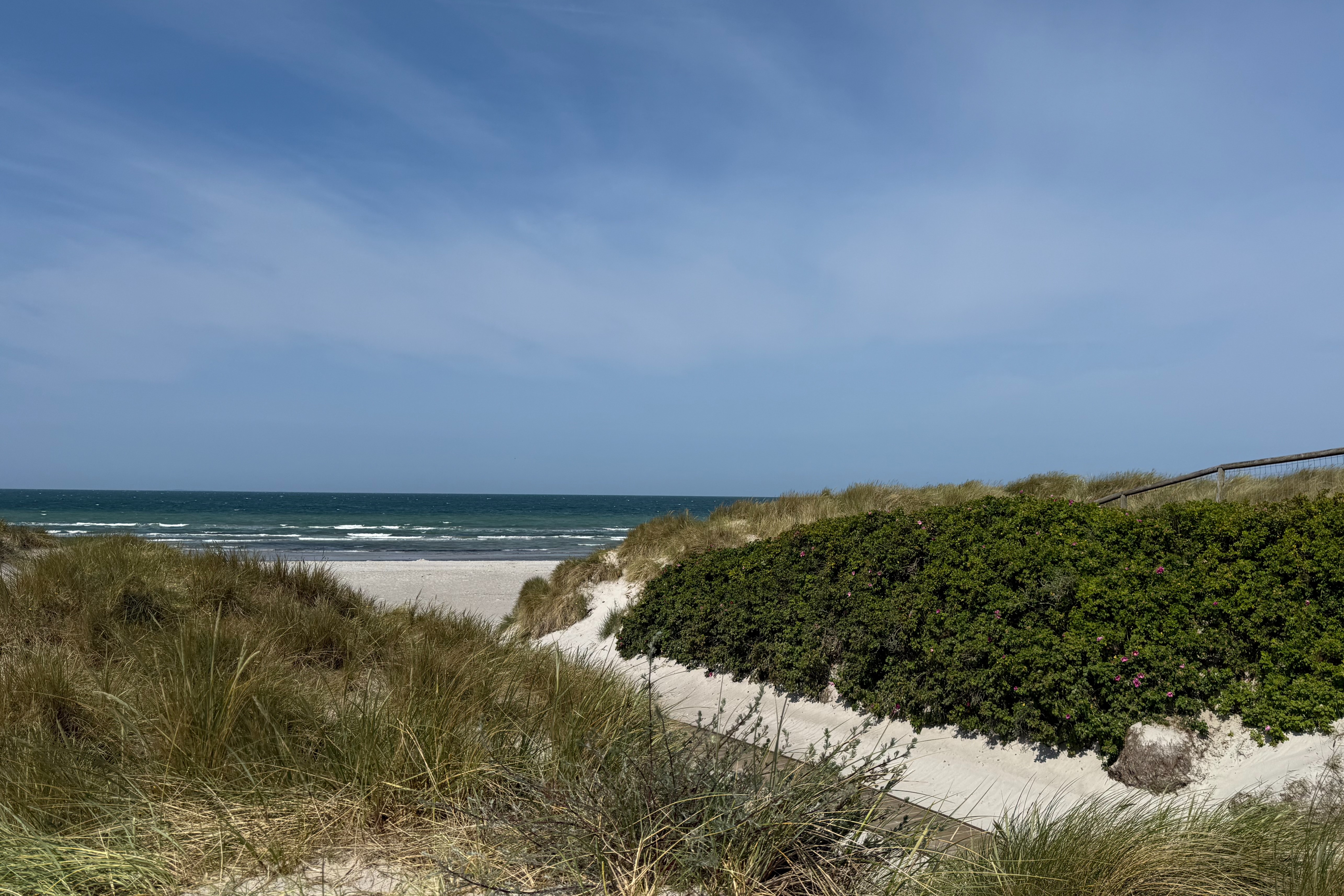 Den dejlige strand nær luksushus 911 ved Lolland/Falster/Møn.