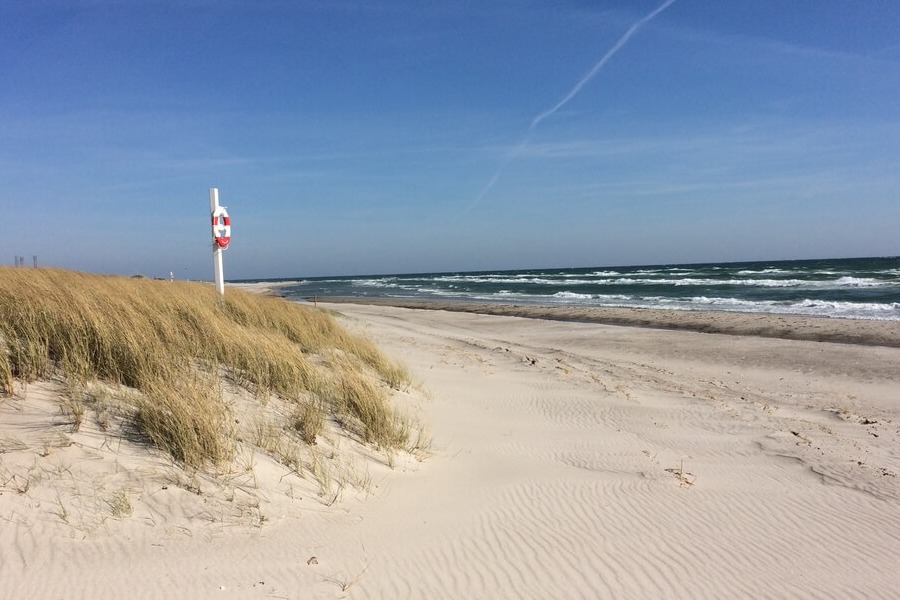 Strand nær luksushus nr. 441 i Østjylland med plads til 26 personer