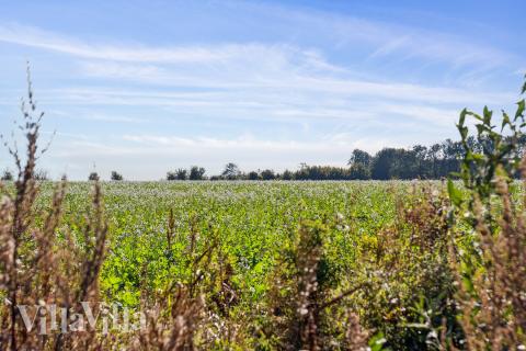 Det skønne område Fyn og øer indbyder til et ophold i luksushus nr. 617.