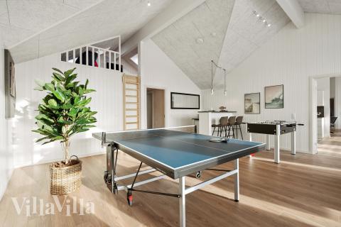 Luksushus 782 til 24 personer byder på et stort aktivitetsrum med bl.a. billard og dart