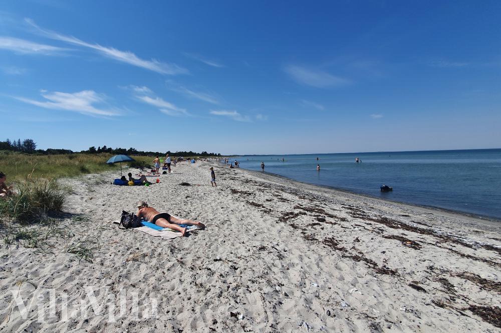 Stranden nær luksushus nr. 1014.