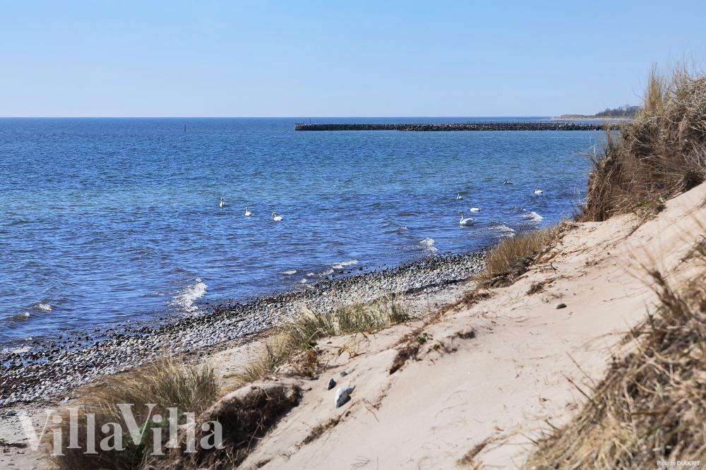 Den dejlige strand nær luksushus 1021 ved Lolland/Falster/Møn.